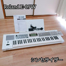 Roland Others E-09W 61