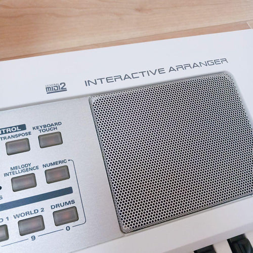 Roland Others E-09W 61