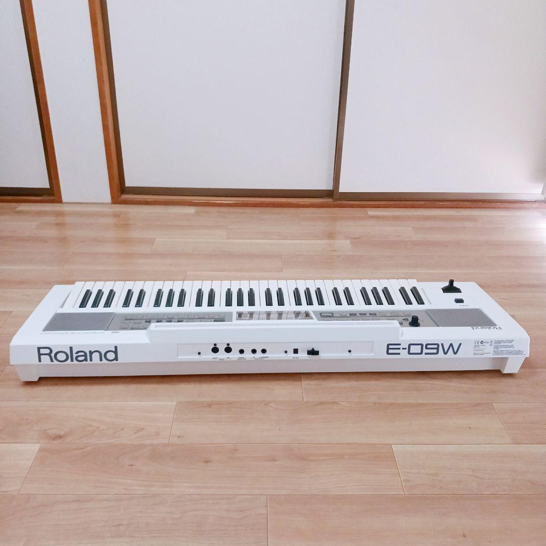 Roland Others E-09W 61