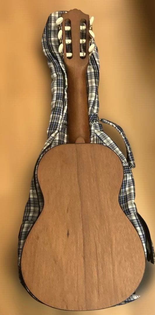 Yamaha Acoustic Guitars Guitalele Gl1
