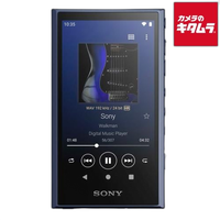 Digital Audio Player Walkman Nw-A307-L [64Gb]