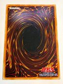 Yu -Gi -Oh! Ocg Duel Monsters
