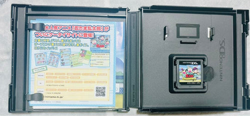 Nintendo Ds Software (Package Version)