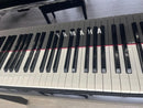 Yamaha Keyboard Electronic Piano 83831 N2 12