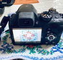 Fujifilm Digital Slrs Finepix S4500