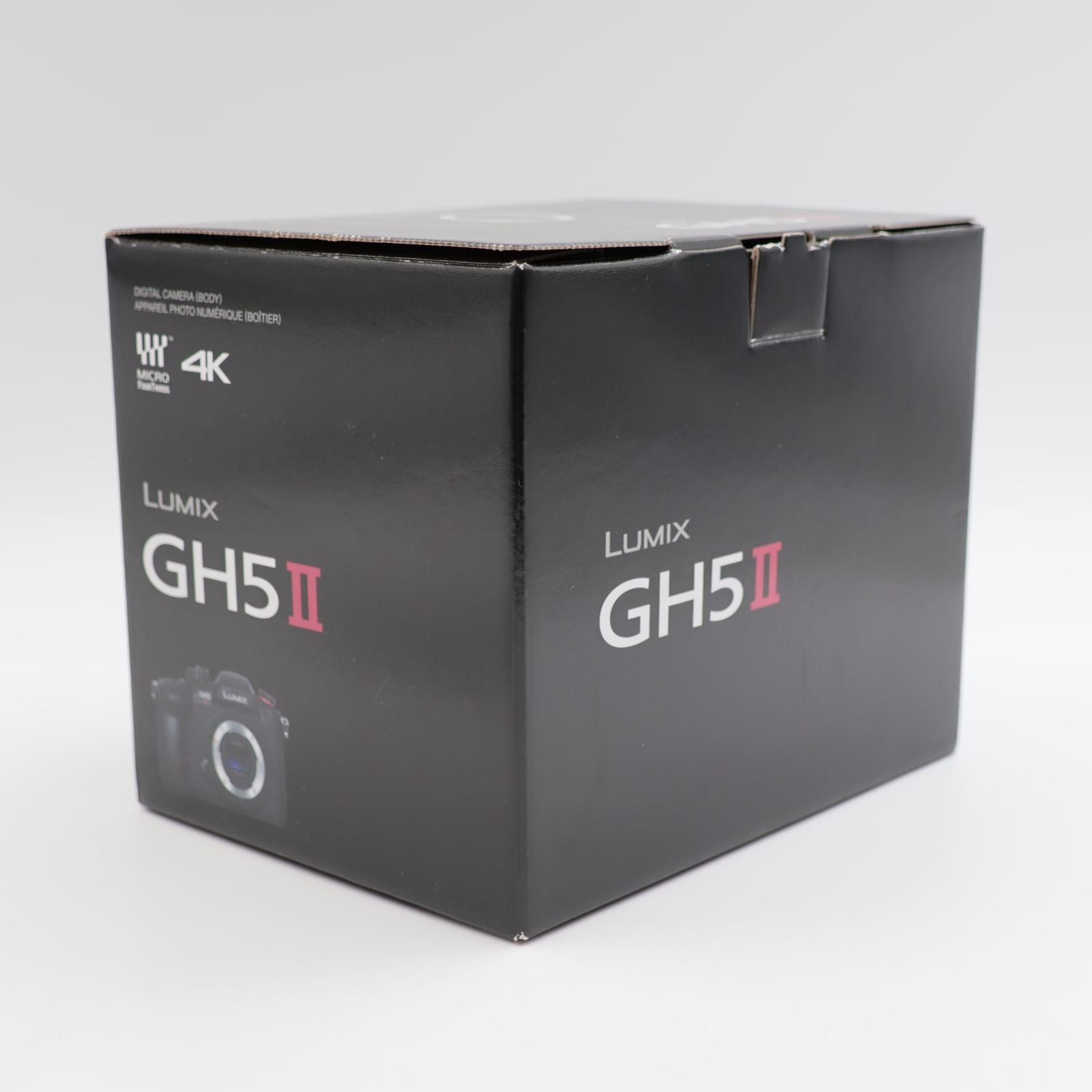 Panasonic Mirrorless Interchangeable Lips 560 Lumix Gh5Ii Dc-Gh5M2