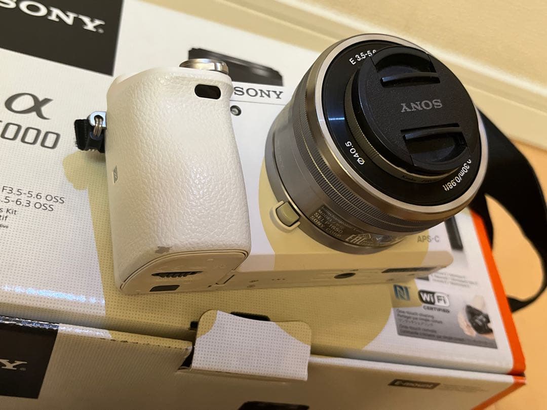 Sony Mirrorless Interchangeable Lens Cameras 6000 W