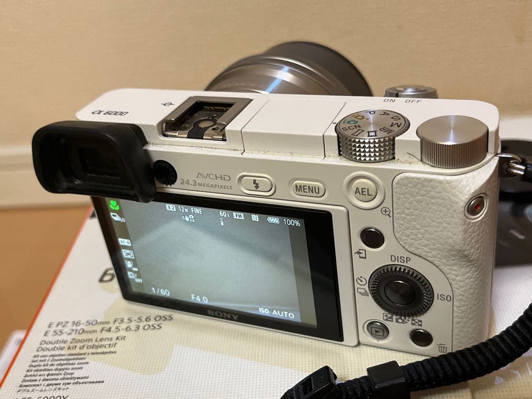 Sony Mirrorless Interchangeable Lens Cameras 6000 W