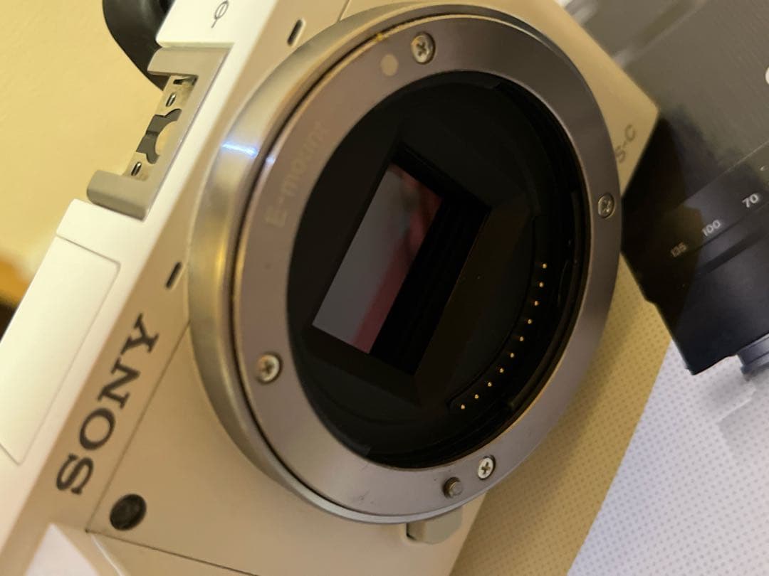 Sony Mirrorless Interchangeable Lens Cameras 6000 W