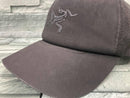 Others Arc Teryx Bird Trucker Curved