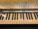 Analog Synthesizer Sequential Prophet-6