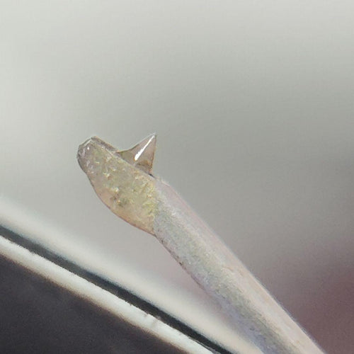 Denon Record Needles Cartridges Dl-103 Mc