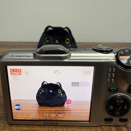 Fujifilm Compact Digital Camera Finepix F600Exr