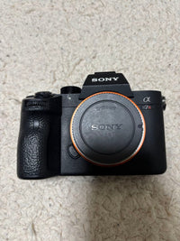 Mirrorless Interchangeable Lens Cameras 7R Iii 2