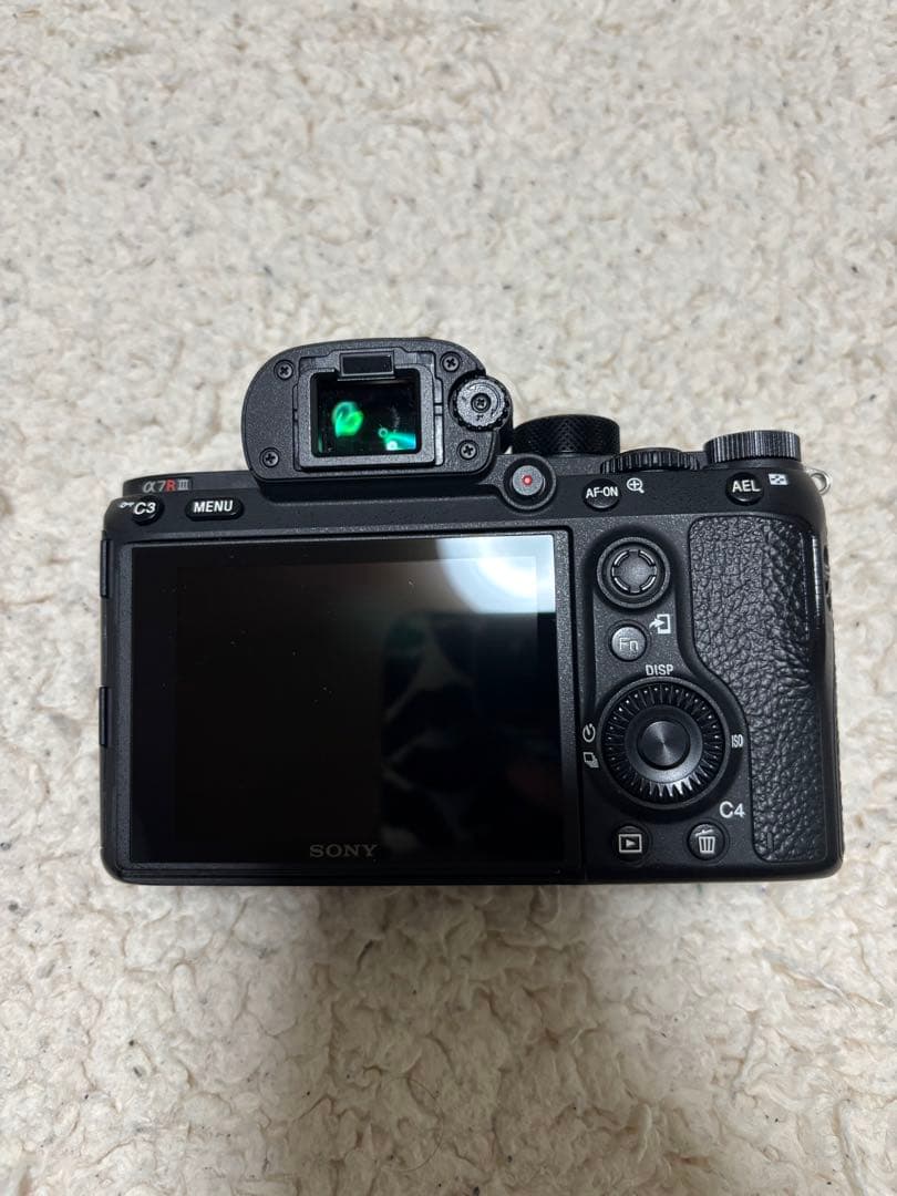 Mirrorless Interchangeable Lens Cameras 7R Iii 2
