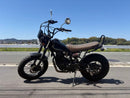 Yamaha Motorcycle Body Tw225 Dg09J