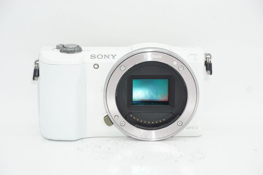 Mirrorless Interchangeable Lens Cameras Sony 5000