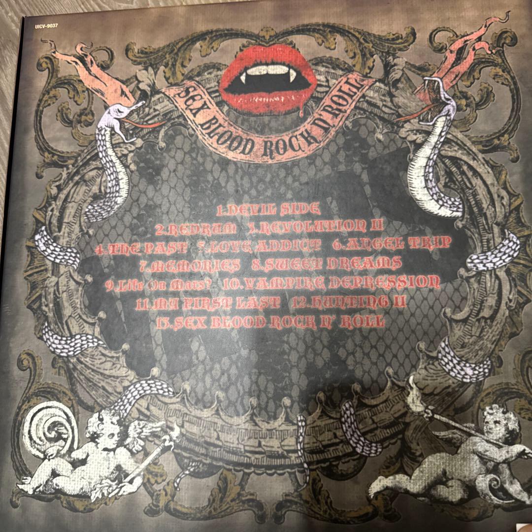Western Music Sex Blood Rockn' Roll Vamps
