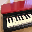 Korg Keyboard Electronic Piano Micro