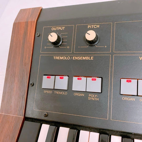Yamaha Others Sk15