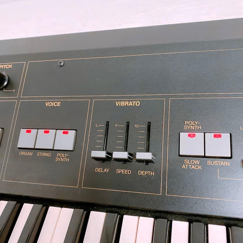 Yamaha Others Sk15