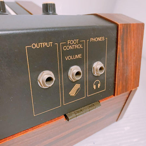 Yamaha Others Sk15