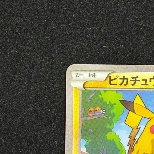 Pokemon Card Game Promo Xy 064/X