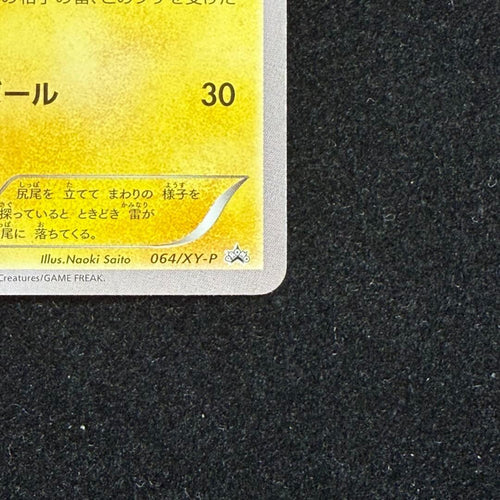 Pokemon Card Game Promo Xy 064/X