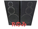Speaker (2/2) Coral Dx-5 R