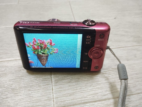 Sony Compact Digital Camera Dsc-Wx100