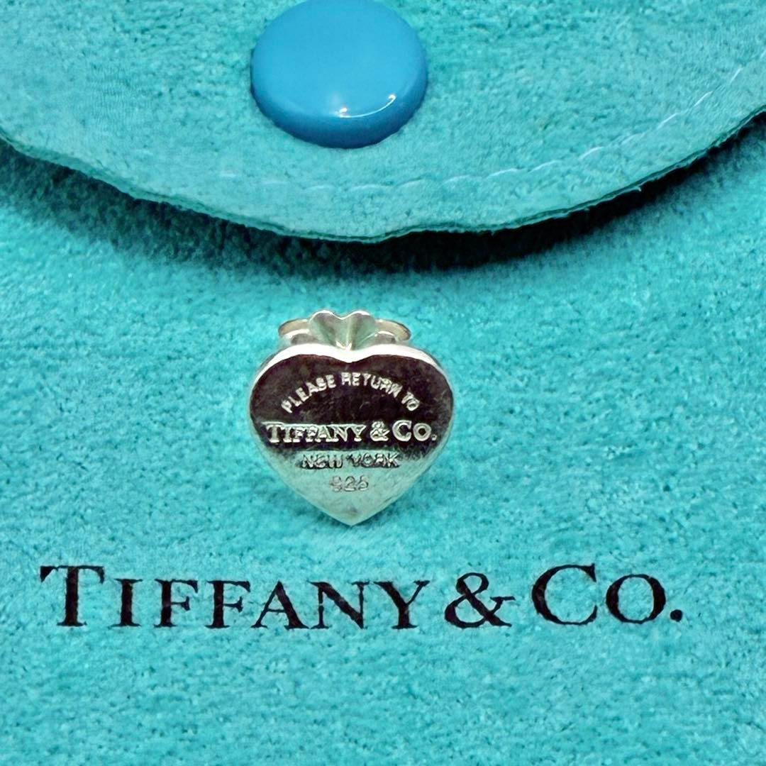 Tiffany Earrings (Single) 06B