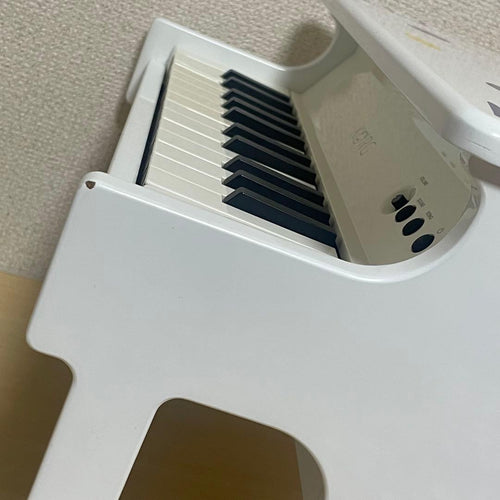 Korg Keyboards Digital Pianos