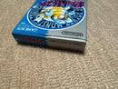 Nintendo Soft