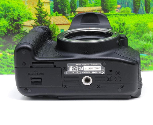 Canon Digital Slrs W Eos Kiss X7I Ok