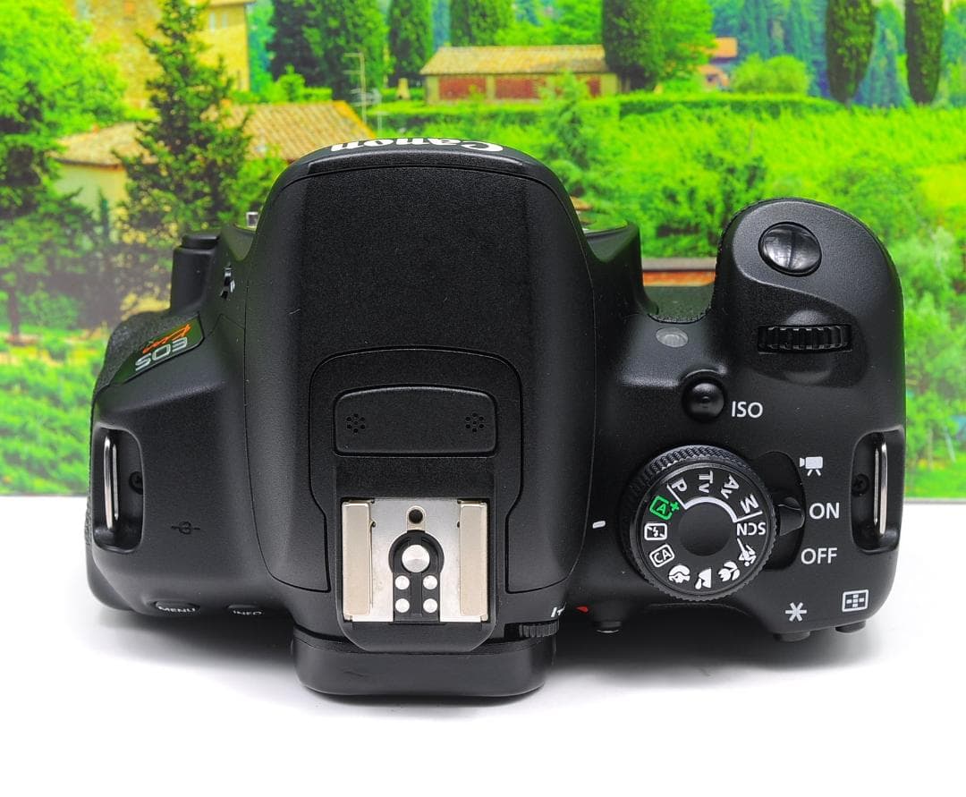 Canon Digital Slrs W Eos Kiss X7I Ok