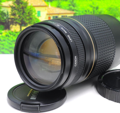 Canon Digital Slrs W Eos Kiss X7I Ok