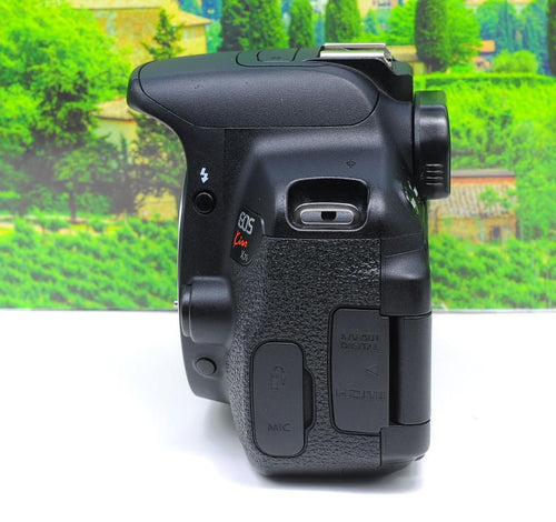 Canon Digital Slrs W Eos Kiss X7I Ok