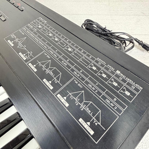 Roland Analog Synthesizers D-10 61