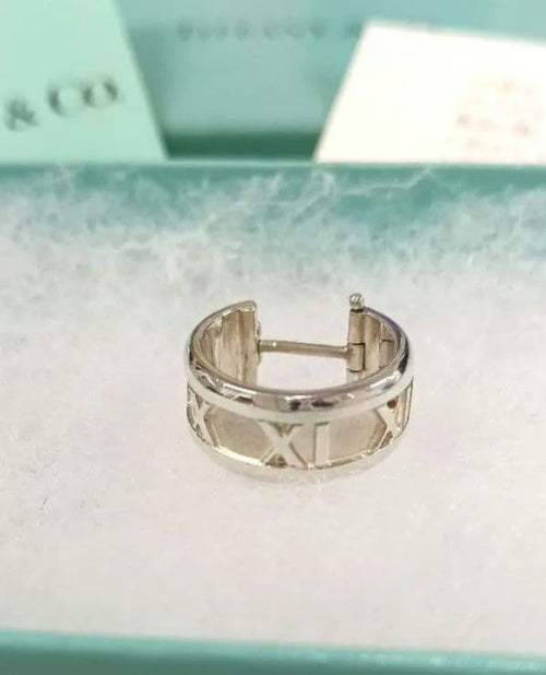 Tiffany Earrings (Single) Co.