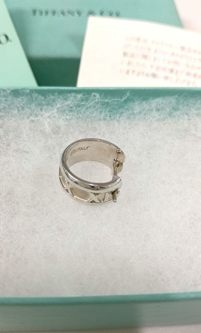 Tiffany Earrings (Single) Co.
