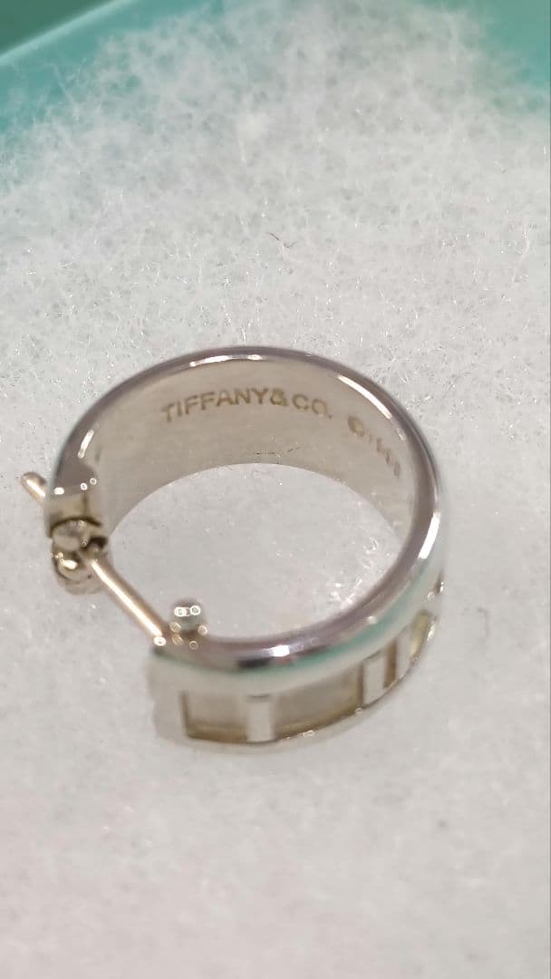 Tiffany Earrings (Single) Co.