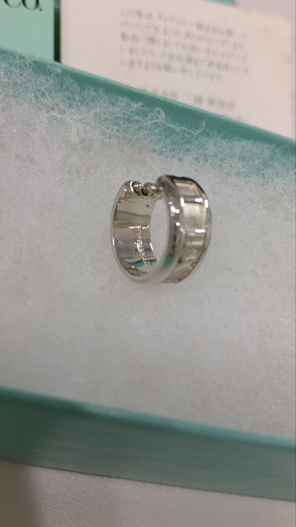 Tiffany Earrings (Single) Co.
