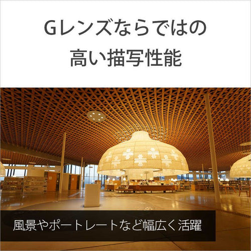 Sony Others Fe Pz 16-35Mm F4 G Selp1635G