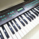 Yamaha Other Dx21