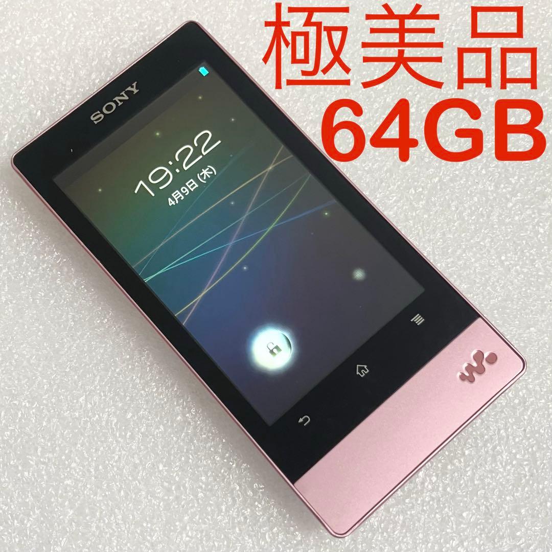 Sony Digital Audio Player Nw-F807 64Gb
