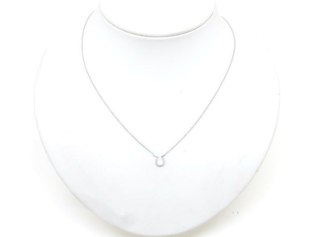 Tiffany Necklace Co Wg 2.1G 2143500299982 200