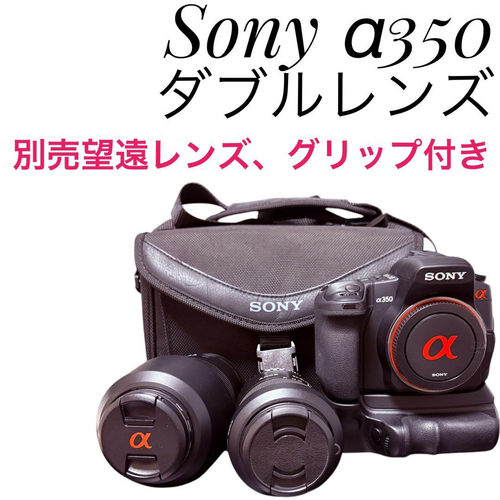Sony Digital Camera 350
