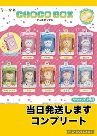 Keychains Acrylic 9