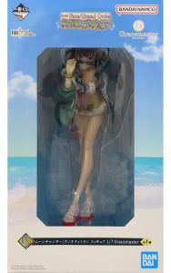 Game Character Fate/Grand Order 1/7 Gracemaster C 10