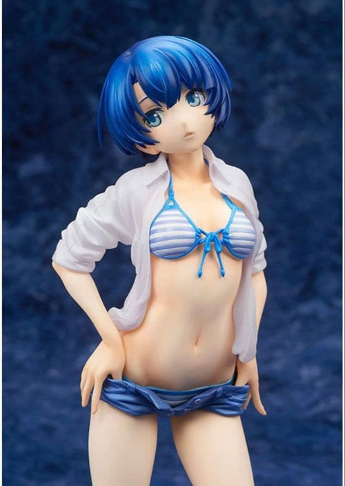 Alter Other Ver 1/6